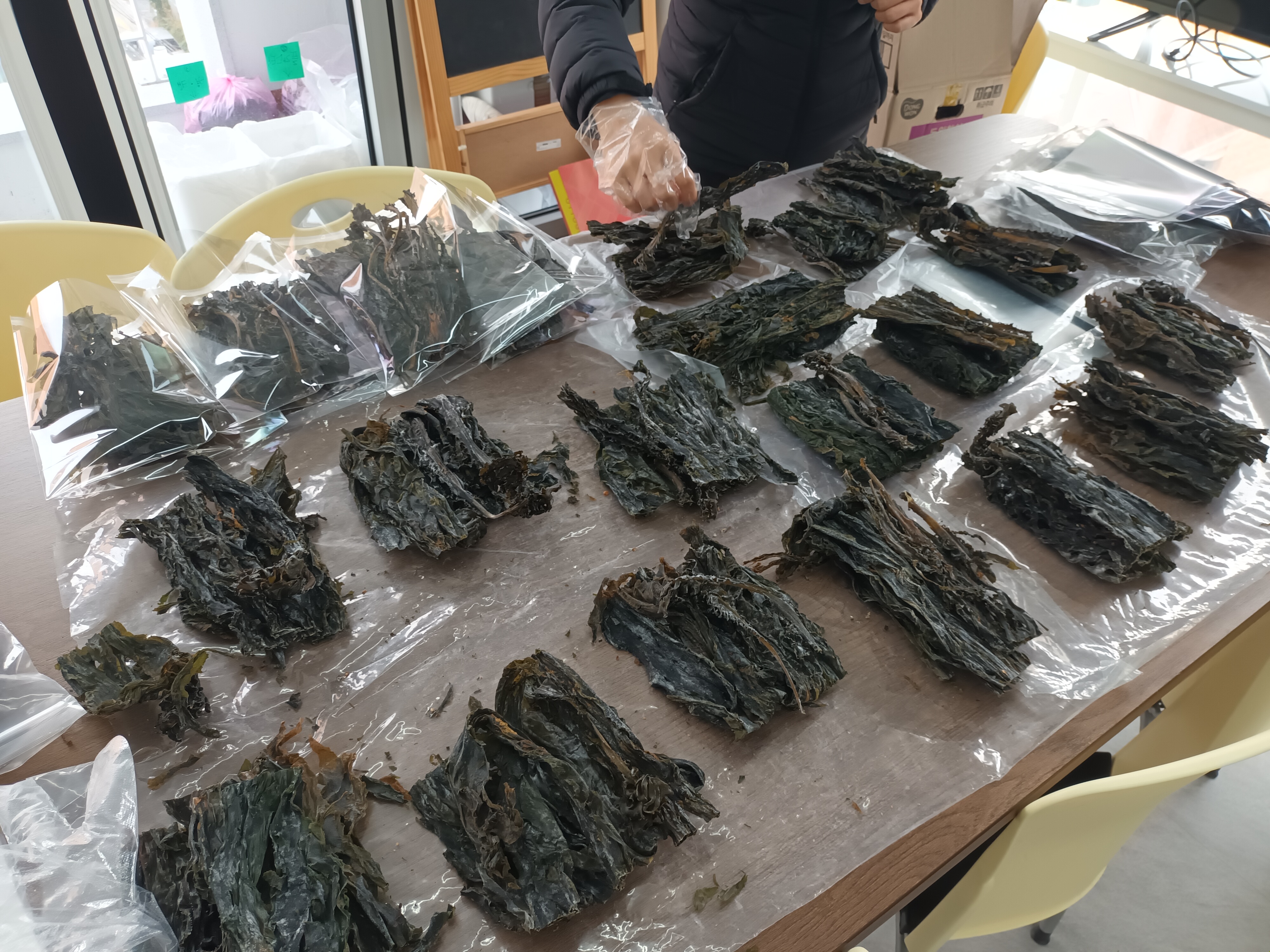 KakaoTalk_20241219_093942999_01.jpg