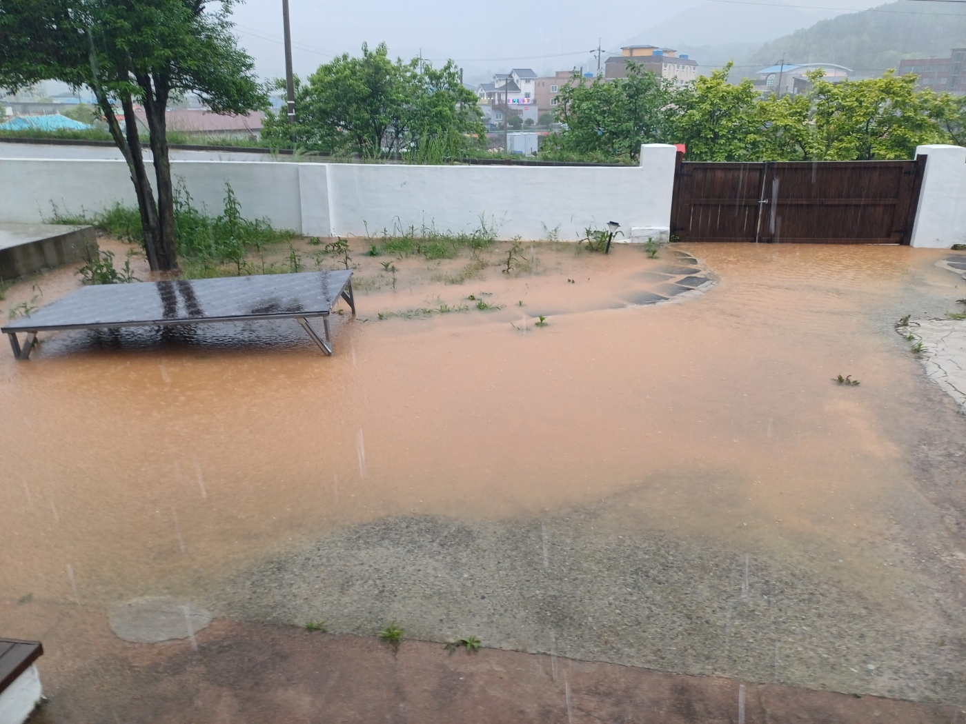 KakaoTalk_20250612_172613487.jpg
