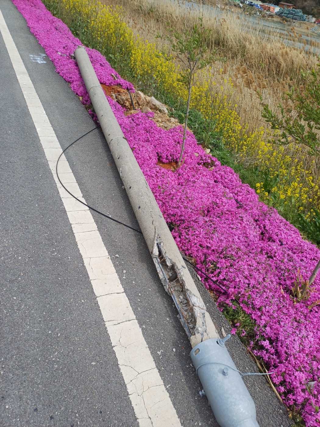 KakaoTalk_20250414_154327182_01.jpg