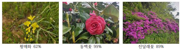 홈페이지 원고-꽃섬, 하화의 봄 (25.6.11)_2-1.png